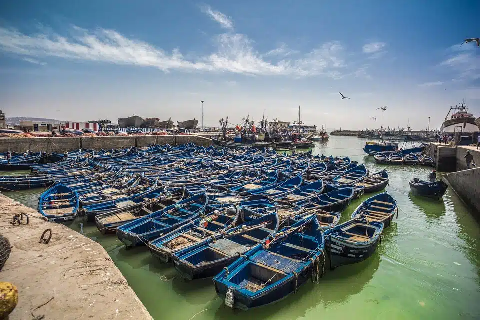 סירות כחולות בנמל מרוקו